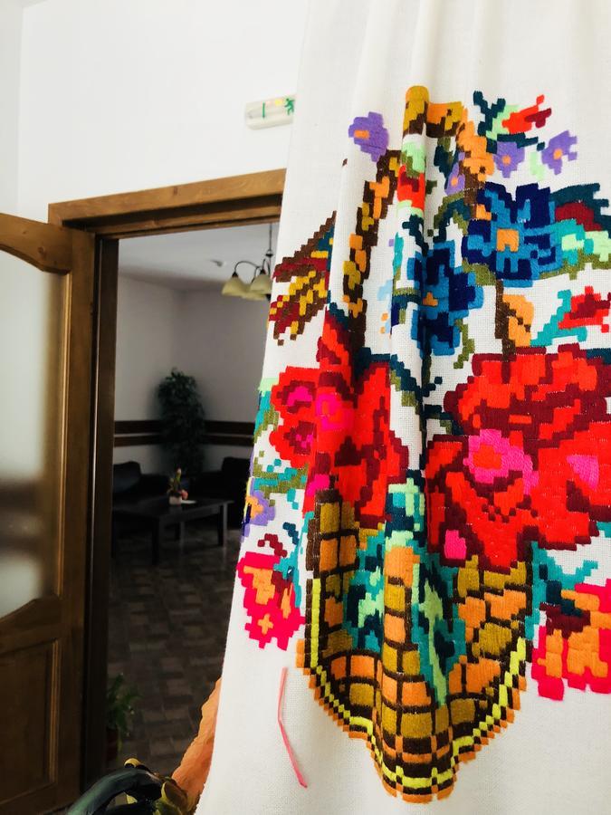 Pensiunea Ovidiu&Paula Ibanesti المظهر الخارجي الصورة